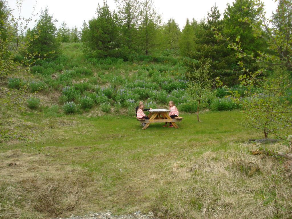 Vinland Camping Pods Egilsstadir Quarto foto